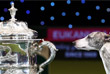    Crufts   .          &quot;&quot;.