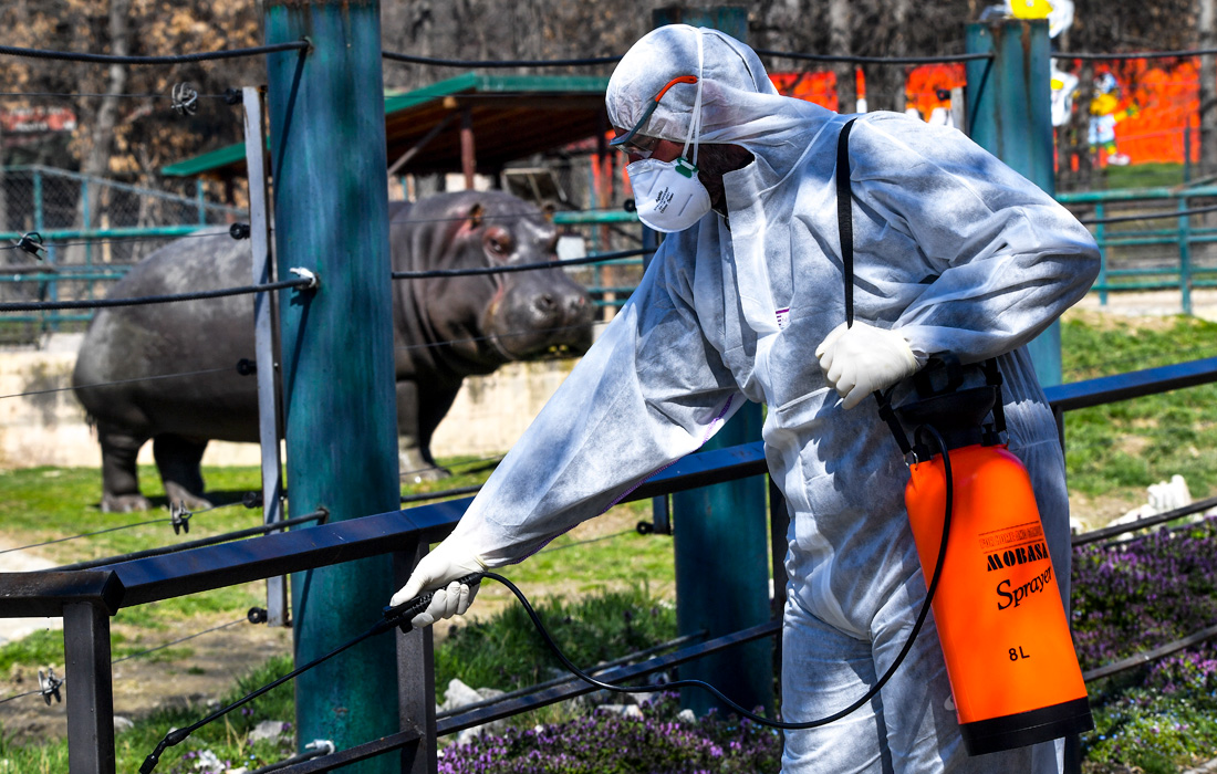 18 марта. Число заболевших коронавирусом в Северной Македонии достигло 23 человек, правительство ужесточает меры по предотвращению распространения инфекции