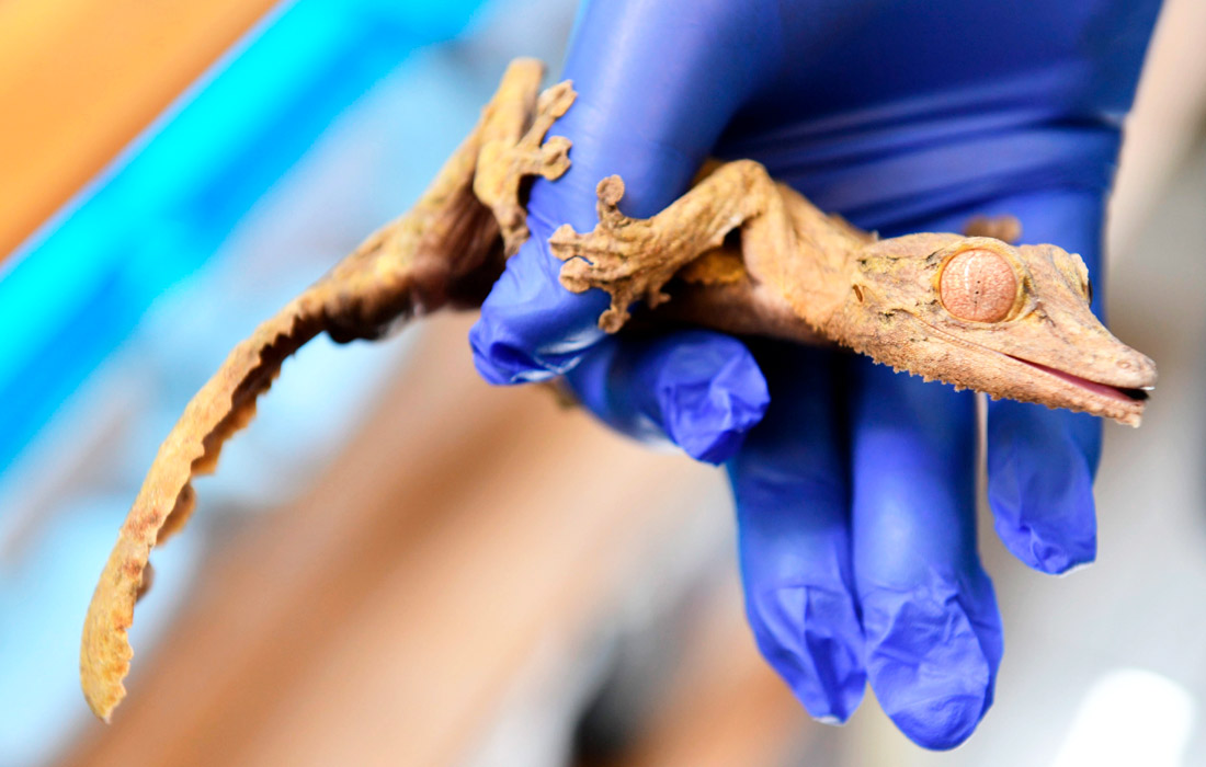 ������������ �������������� ������ � �������� �������� � ������