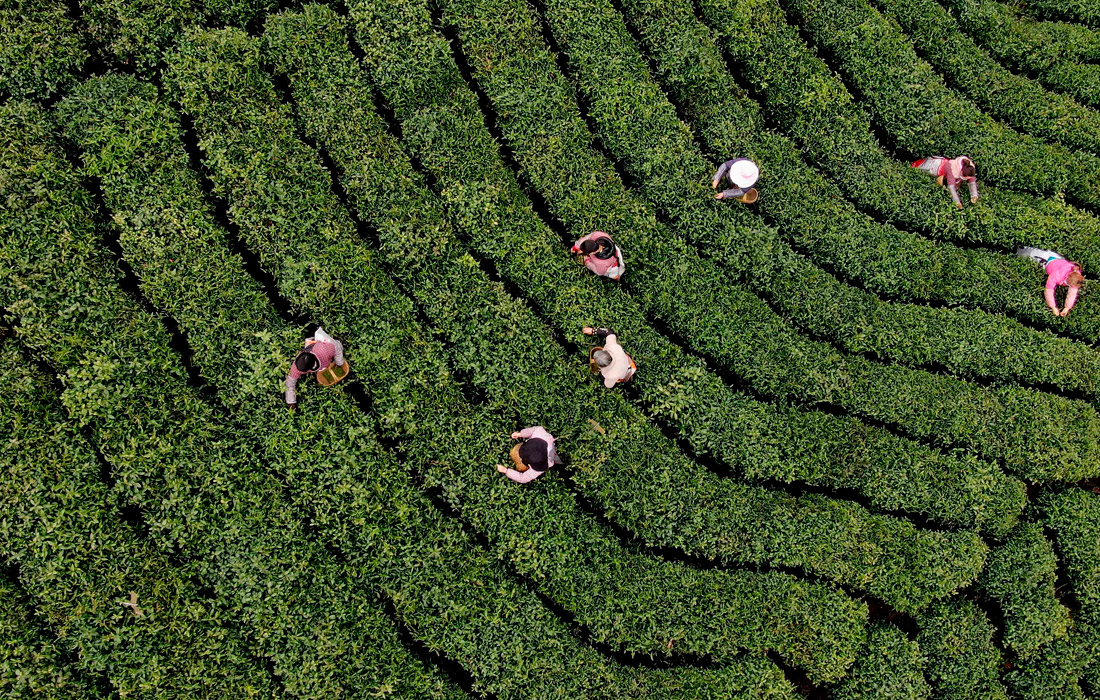 ���� ������ ��� � ��������� ������ �� ������� ����������� ����� �����