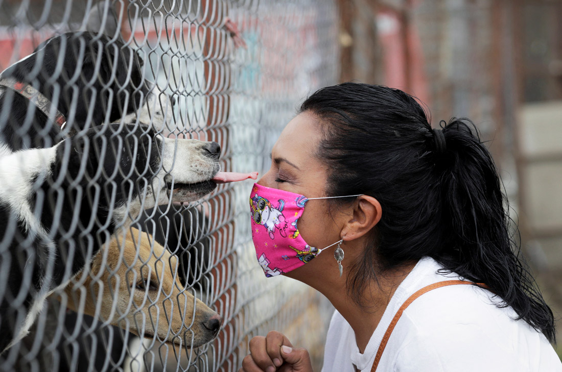27 апреля. Хозяйка приюта для бездомных животных из Мехико призывает жителей города забирать питомцев домой во время карантина. В Мексике число случаев заражения коронавирусом превысило 14 тысяч.