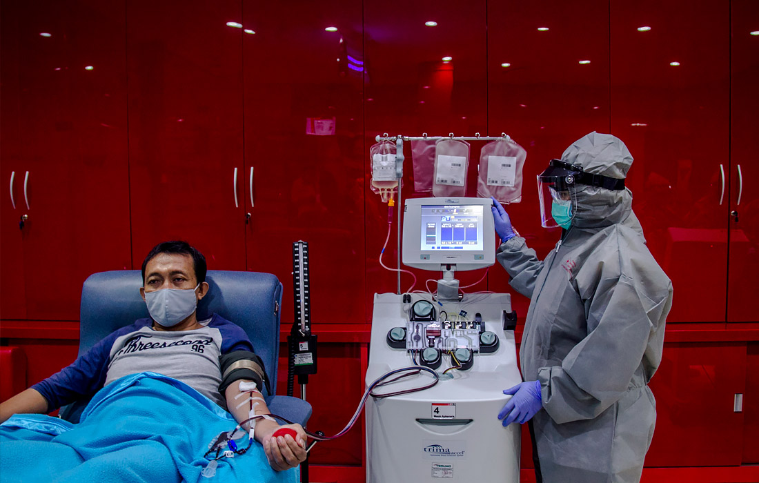Индонезии Жители, выздоровевшие после заражения COVID-19, сдают плазму для больных коронавирусом. Кровь выздоровевших пациентов содержит антитела к этому заболеванию, поэтому она может использоваться для лечения.
