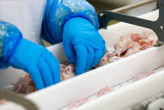 ��������� ��������� �������� ��� �� �������� � ������-���