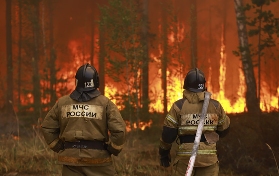 Лесные пожары в Тюменской области