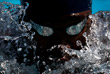 Американский пловец Рис Уитл во время заплыва на дистанции 200 метров брассом на соревнованиях в Мишен-Вьехо, Калифорния