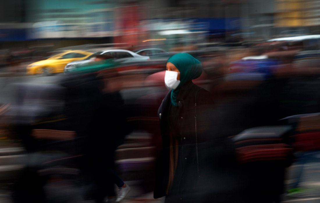 11 �����. ��� ���� ����� ��������� ����������� ��������������� �������� � �������� � ����� � ������������ ��������������� � ���� ������������. �� ����: ���������� ������, ������.