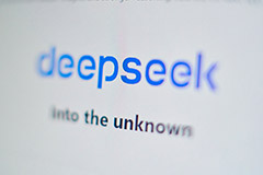 DeepSeek     -