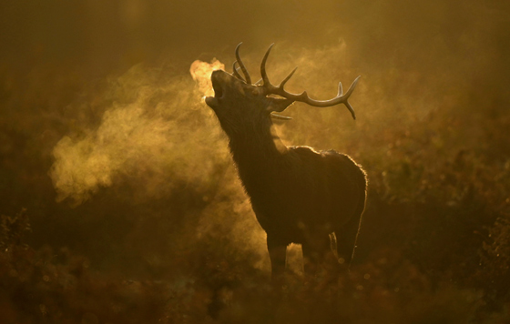 Лучшие фото недели