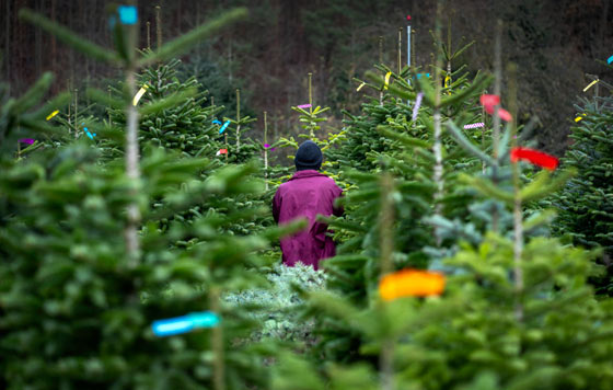 Фотохроника 17 ноября Фотохроника 17 ноября