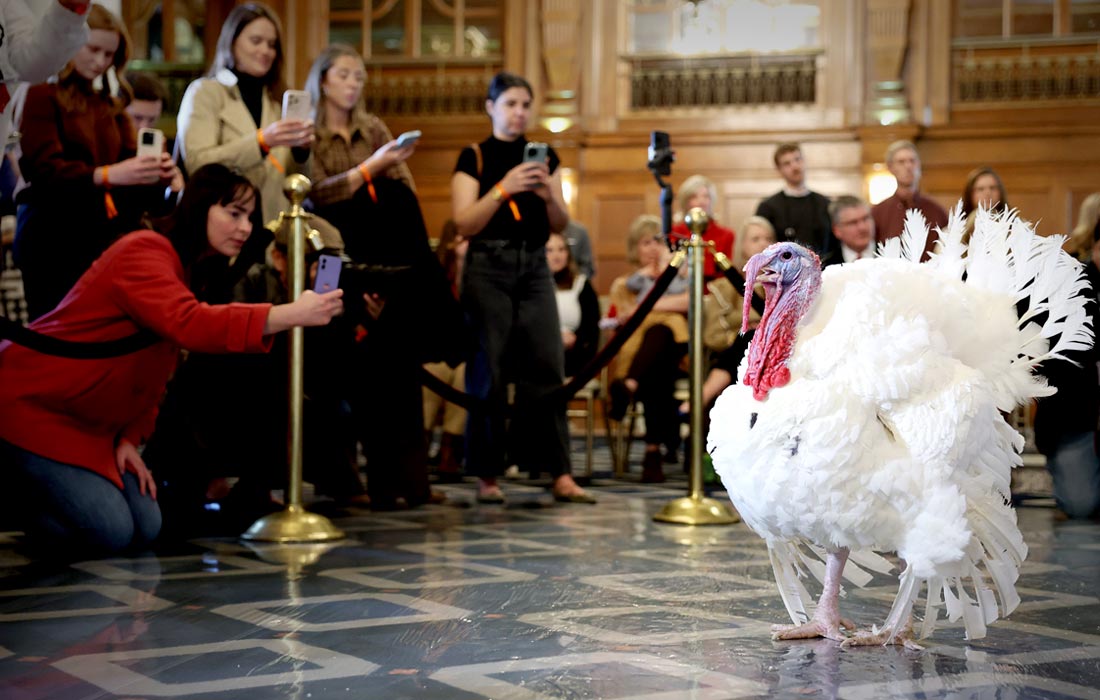 Президент США Дональд Трамп к предстоящему Дню благодарения помилует двух индеек. Птиц представили журналистам на пресс-конференции в отеле Willard InterContinental в центре Вашингтона.