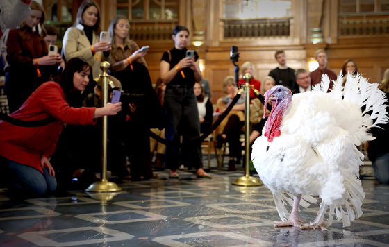 Фотохроника 25 ноября Фотохроника 25 ноября