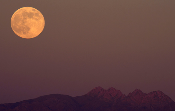 Фотохроника 5 декабря Фотохроника 5 декабря