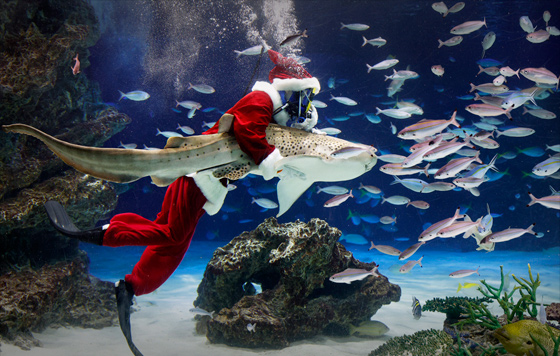 Лучшие фото недели Лучшие фото недели