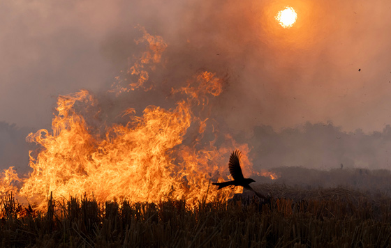 Фотохроника 10 декабря Фотохроника 10 декабря
