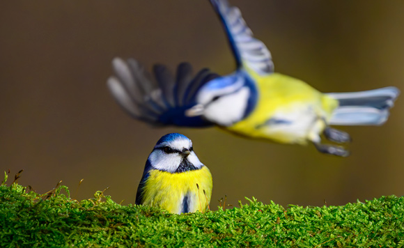 Фотохроника 15 декабря Фотохроника 15 декабря