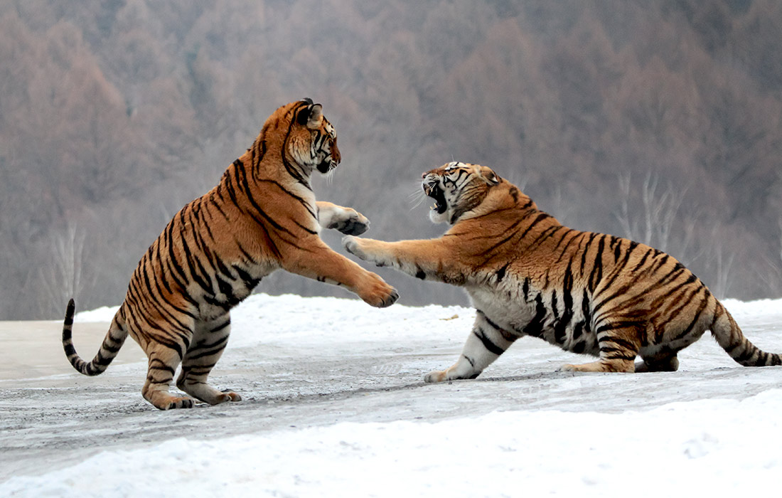 ��������� ����� � ����� ����������� � ��������� ��������� ����������