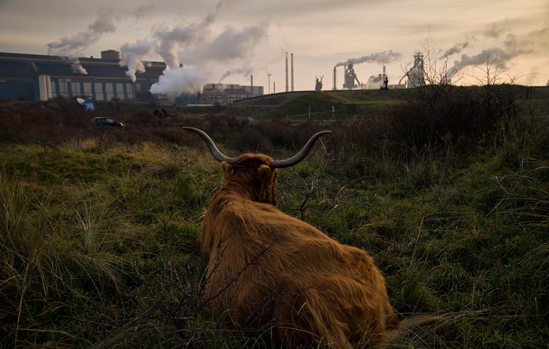 ������ ������ ������� ����� �������������� ������ Tata Steel � �����������