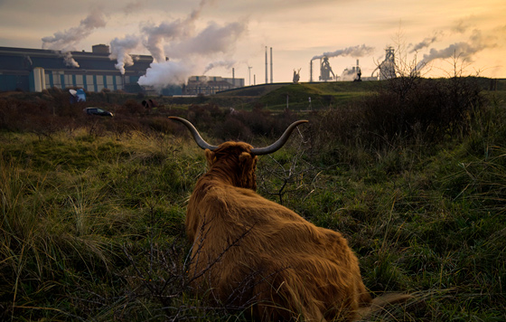 Фотохроника 23 декабря Фотохроника 23 декабря