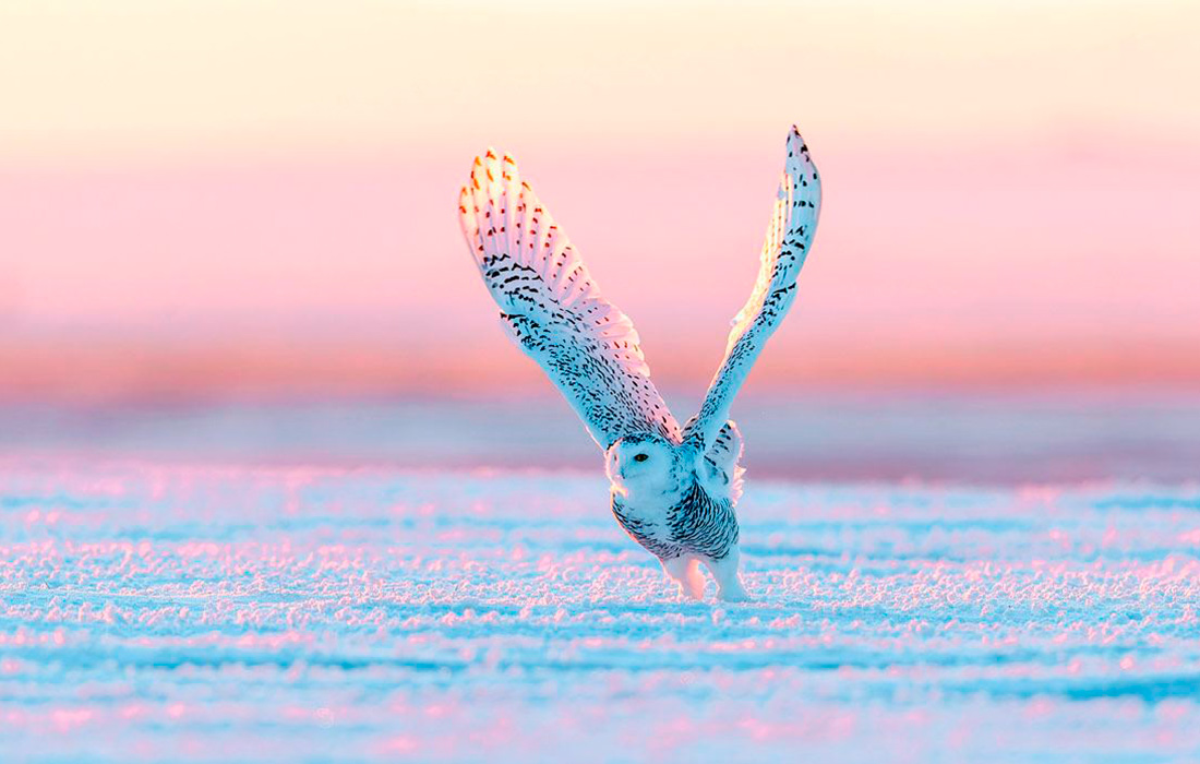 �������� ���� � ����������, �����