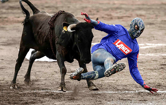 Фотохроника 30 декабря Фотохроника 30 декабря