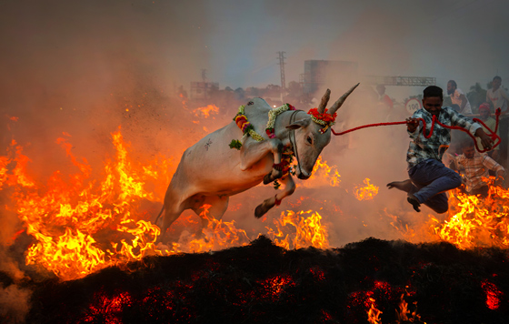 ������ ���� ������