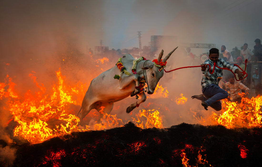 �������� ������ ������-��������� �� ������� �������, �����