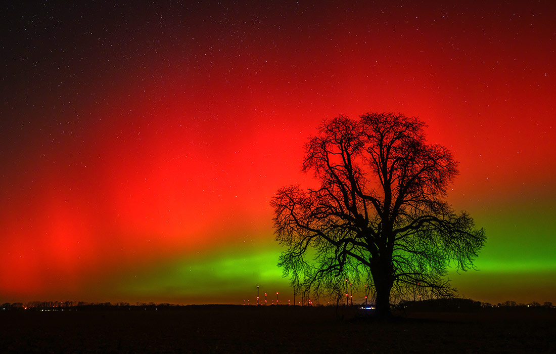 �������� ������ ��� ��������, ��������