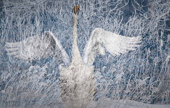 ������� ������� � ��������� ����