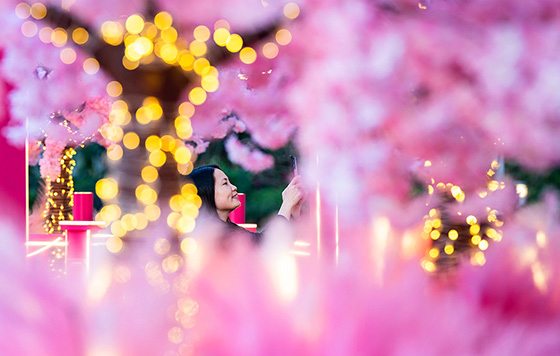 ����������� 5 �������