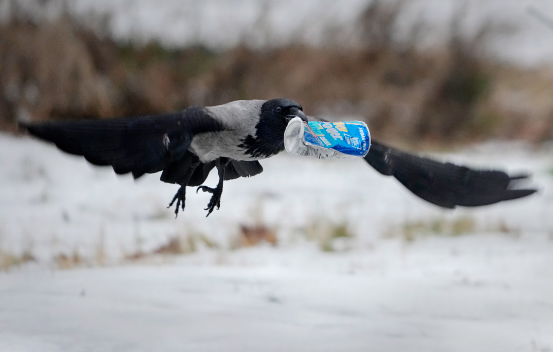 ����� ��� ����������� ����� � ������ � �����, ������