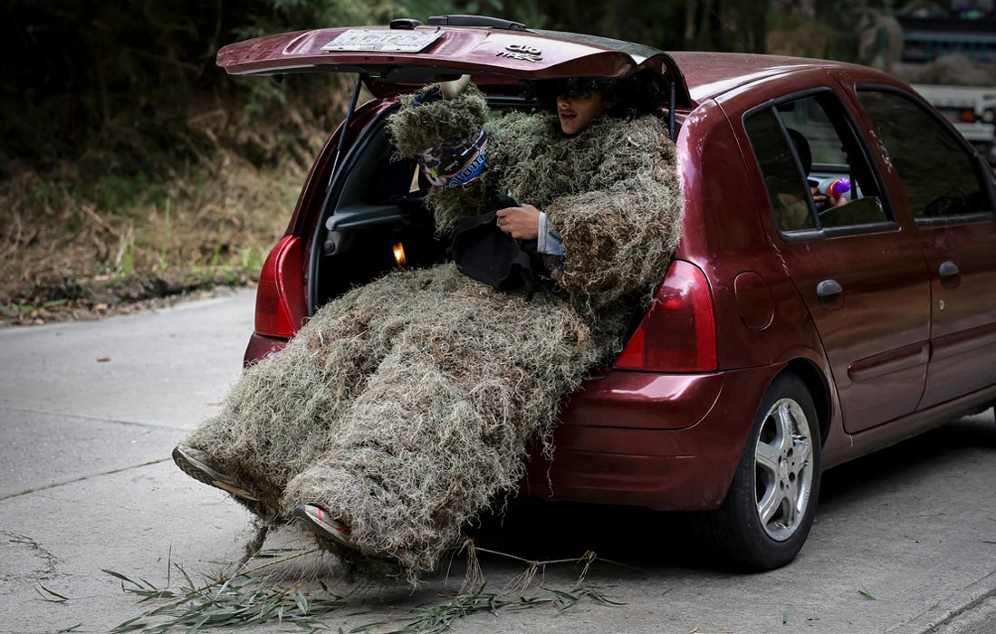 �������� ������������ �������� � ������, ���������