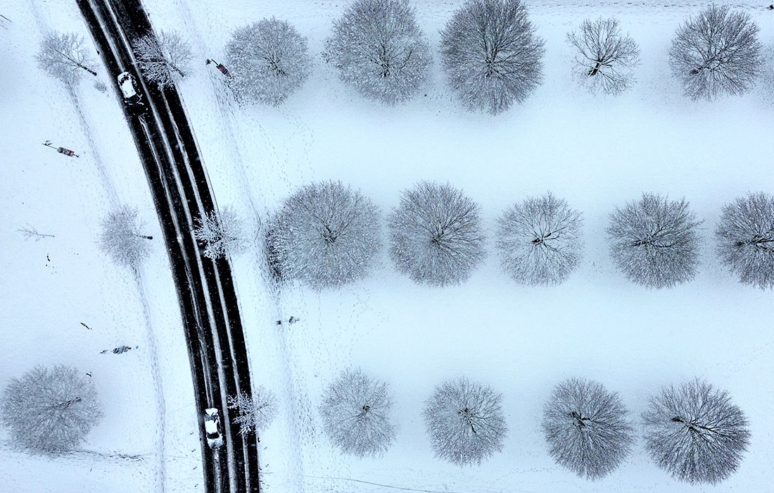 ������ �� ����������