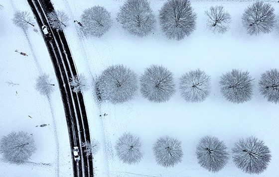 ����������� 19 �������