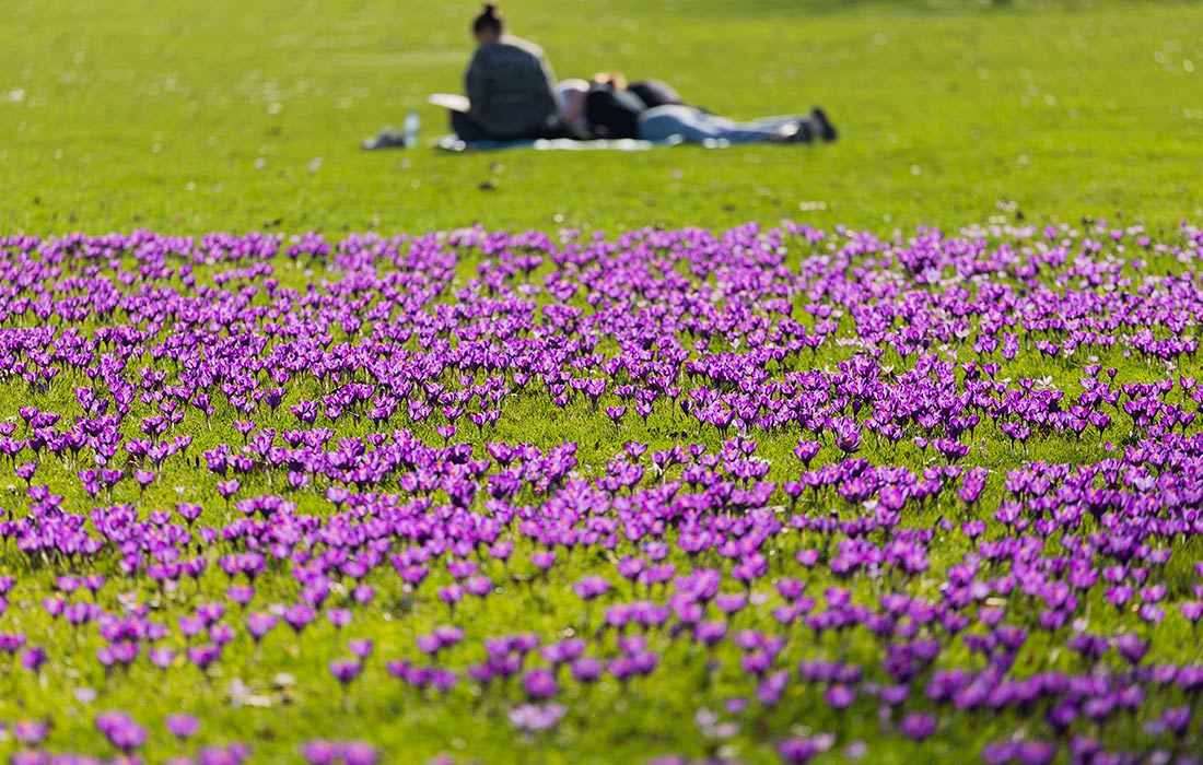 ��������� ������ � ������������