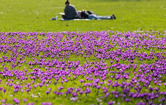 ����������� 25 �������