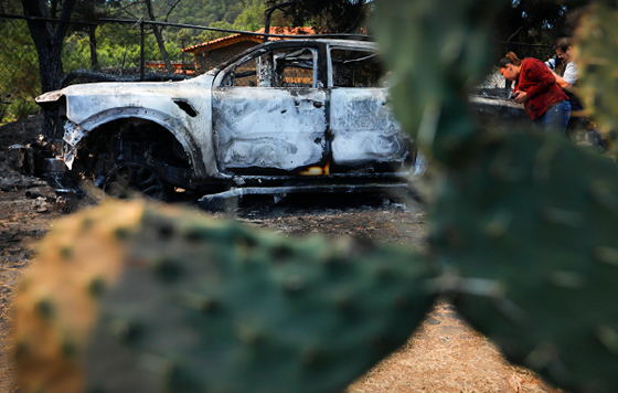 Фотохроника 26 февраля Фотохроника 26 февраля