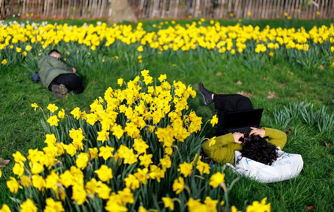 ����� � �������