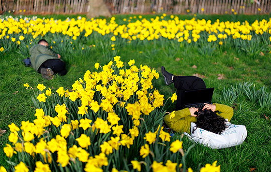 ����������� 6 �����