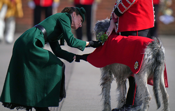 Фотохроника 17 марта Фотохроника 17 марта