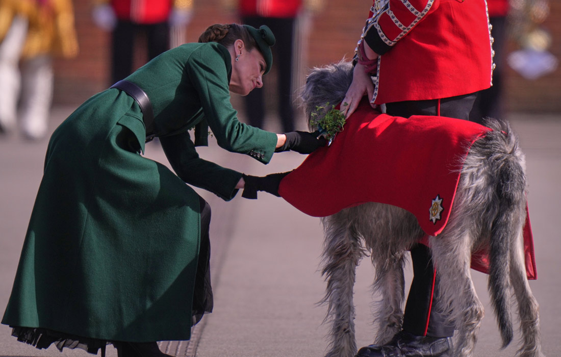 ��������� �������� ������ �������� ����� ���������� ���������� �� ������ ��� ������� ������� � ���������