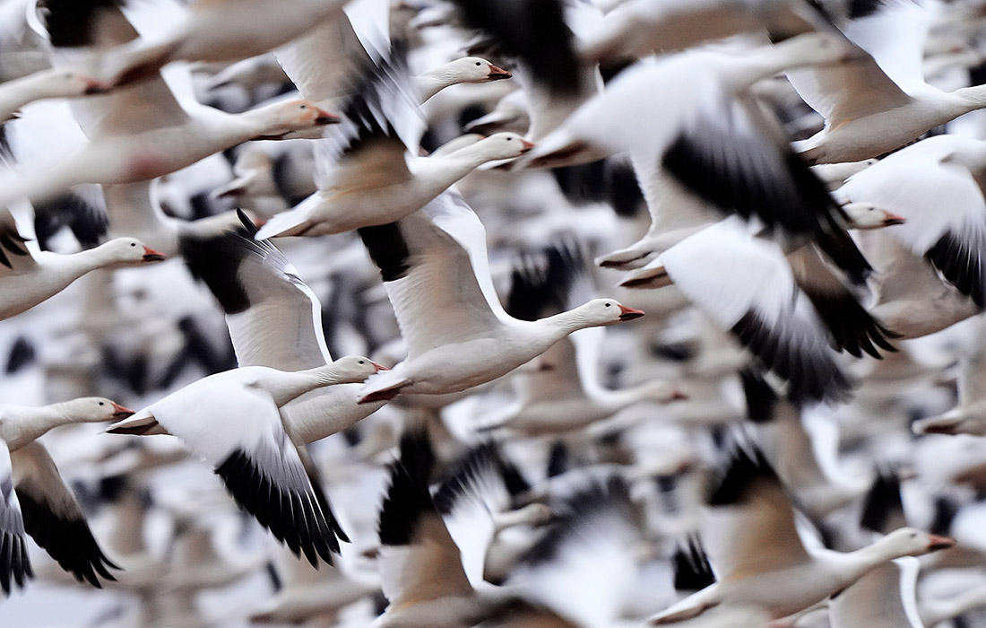 ����� ���� � ����������� ����� ������� ����-���� � ������������