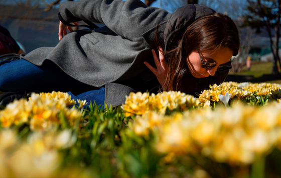 Весна в Москве Весна в Москве