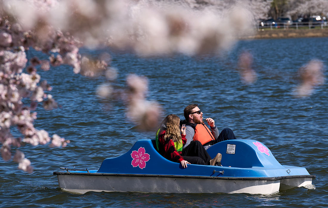 �������� ����� � ����������