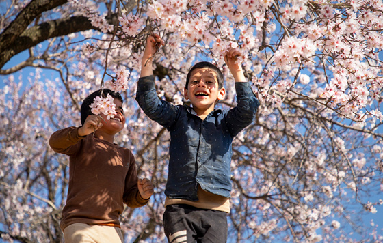 ������� � �����