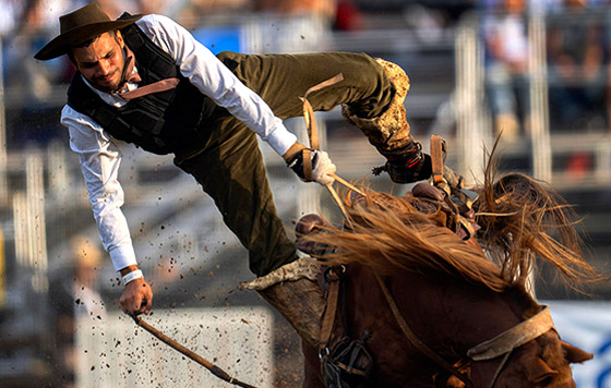 ������ ���� ������