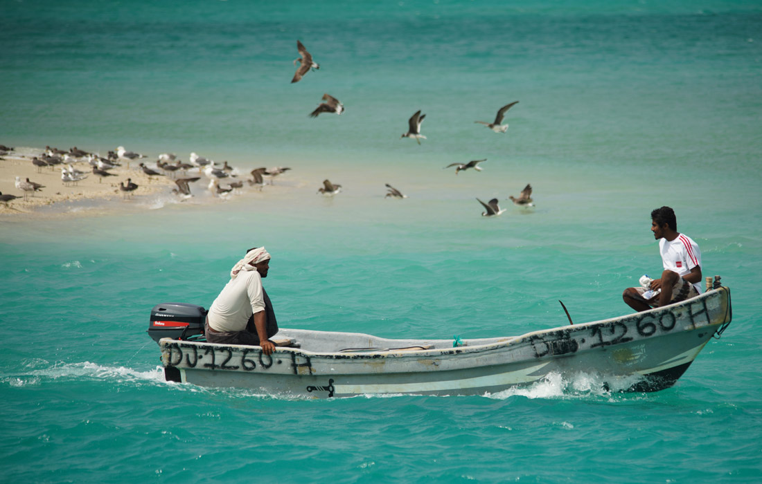 ������ � ������� ���-���-������ � ������� ������ 
