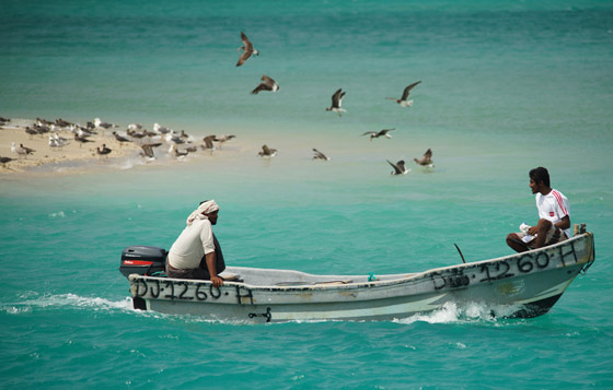 ����������� 6 ������