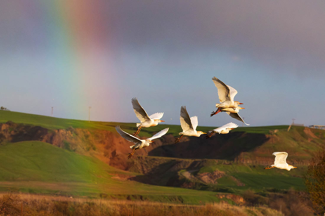 ����� ����� � ����������, ������