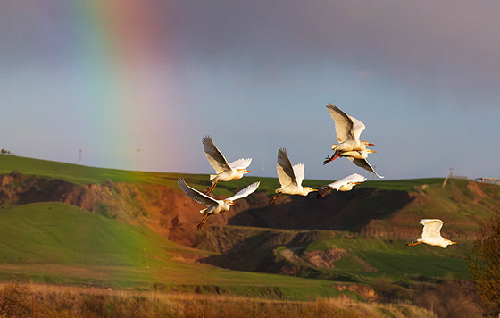 Фотохроника 14 апреля Фотохроника 14 апреля