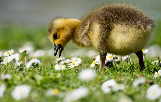 Лучшие фото недели Лучшие фото недели